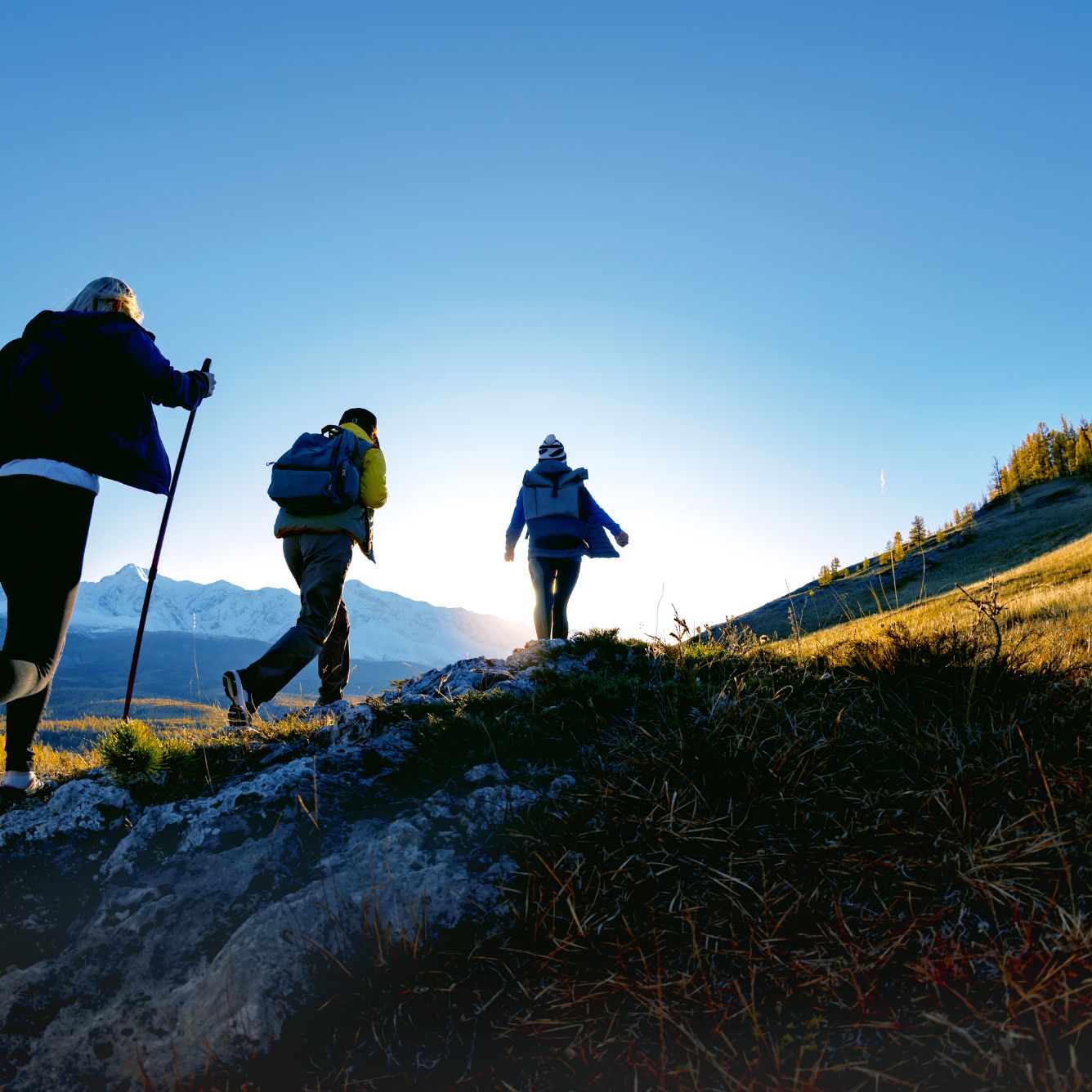 新規事業コンサルティングサービス